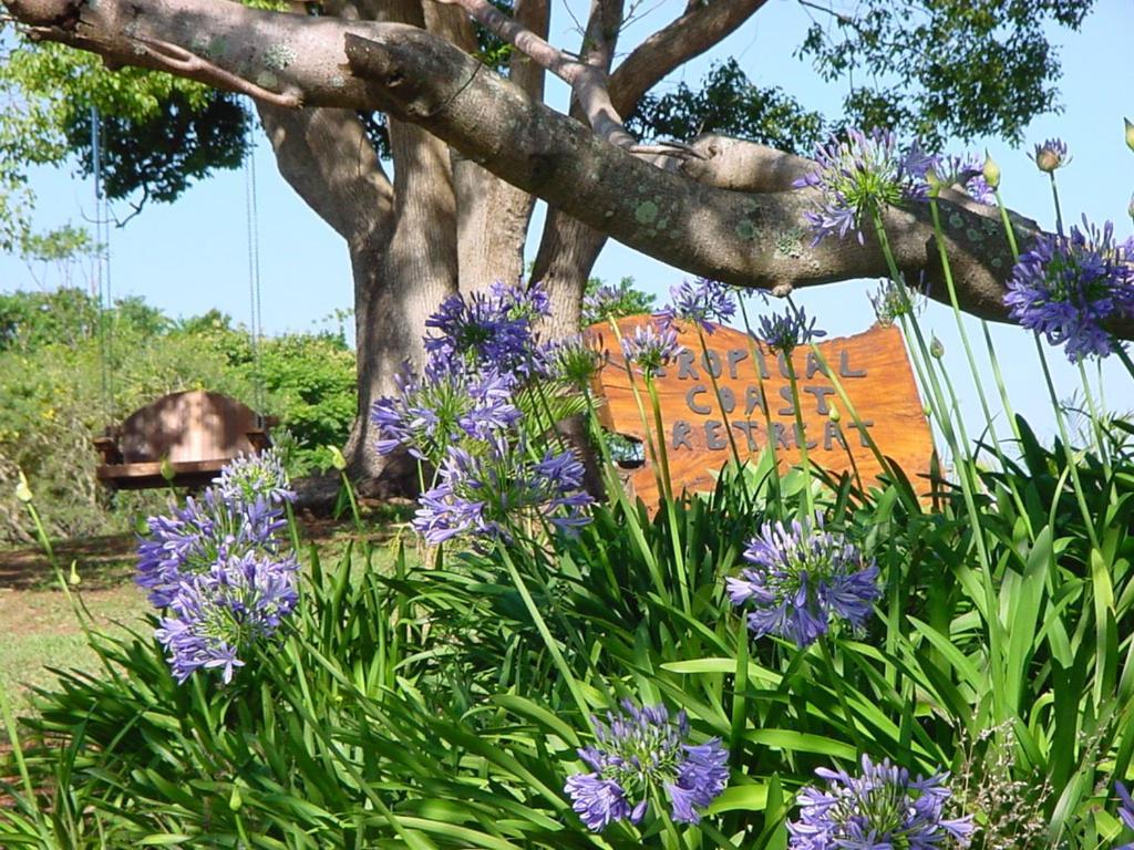 Hostal Tropical Coast Retreat - Pet Friendly - Adult Only Kingscliff Exterior foto