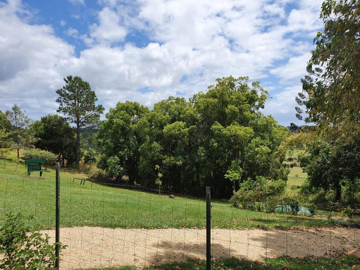 Hostal Tropical Coast Retreat - Pet Friendly - Adult Only Kingscliff Exterior foto
