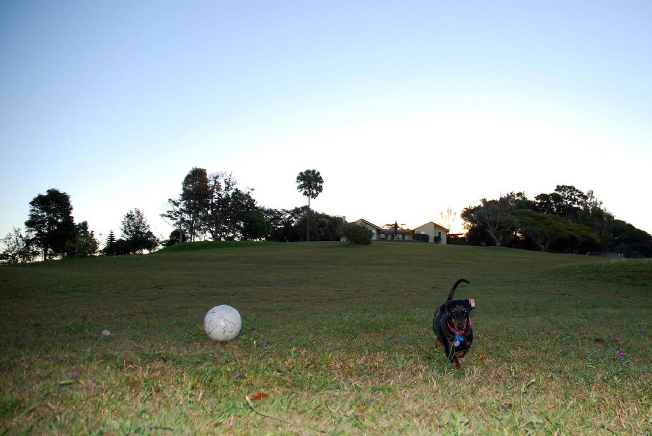 Hostal Tropical Coast Retreat - Pet Friendly - Adult Only Kingscliff Exterior foto