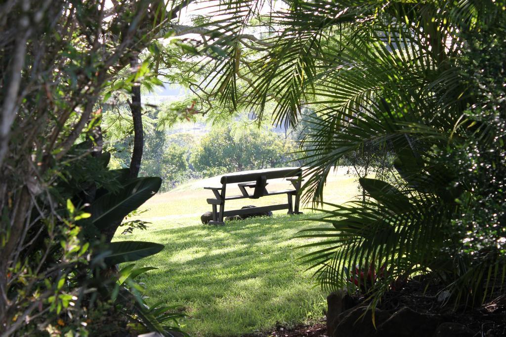 Hostal Tropical Coast Retreat - Pet Friendly - Adult Only Kingscliff Exterior foto