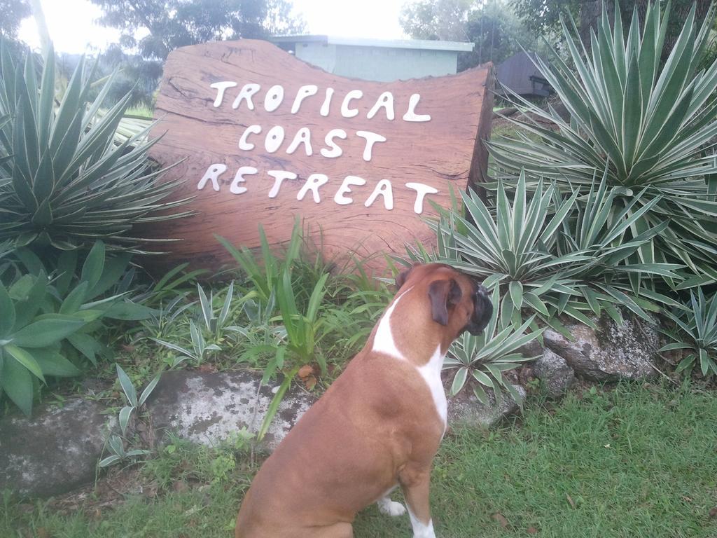 Hostal Tropical Coast Retreat - Pet Friendly - Adult Only Kingscliff Exterior foto