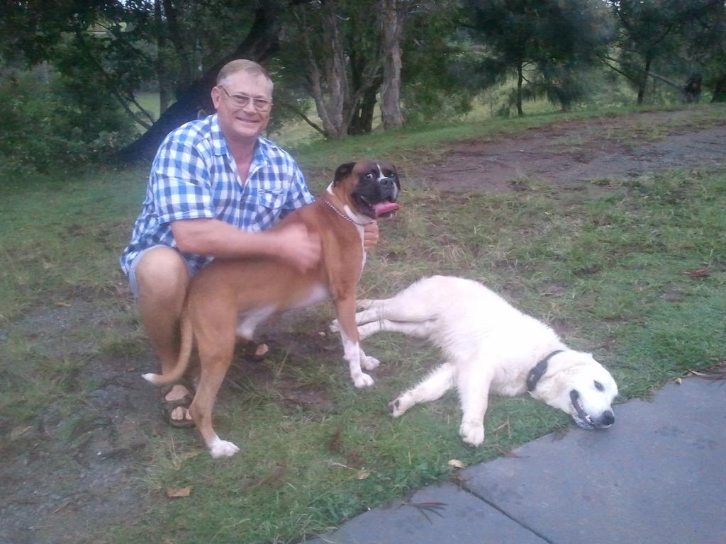 Hostal Tropical Coast Retreat - Pet Friendly - Adult Only Kingscliff Exterior foto